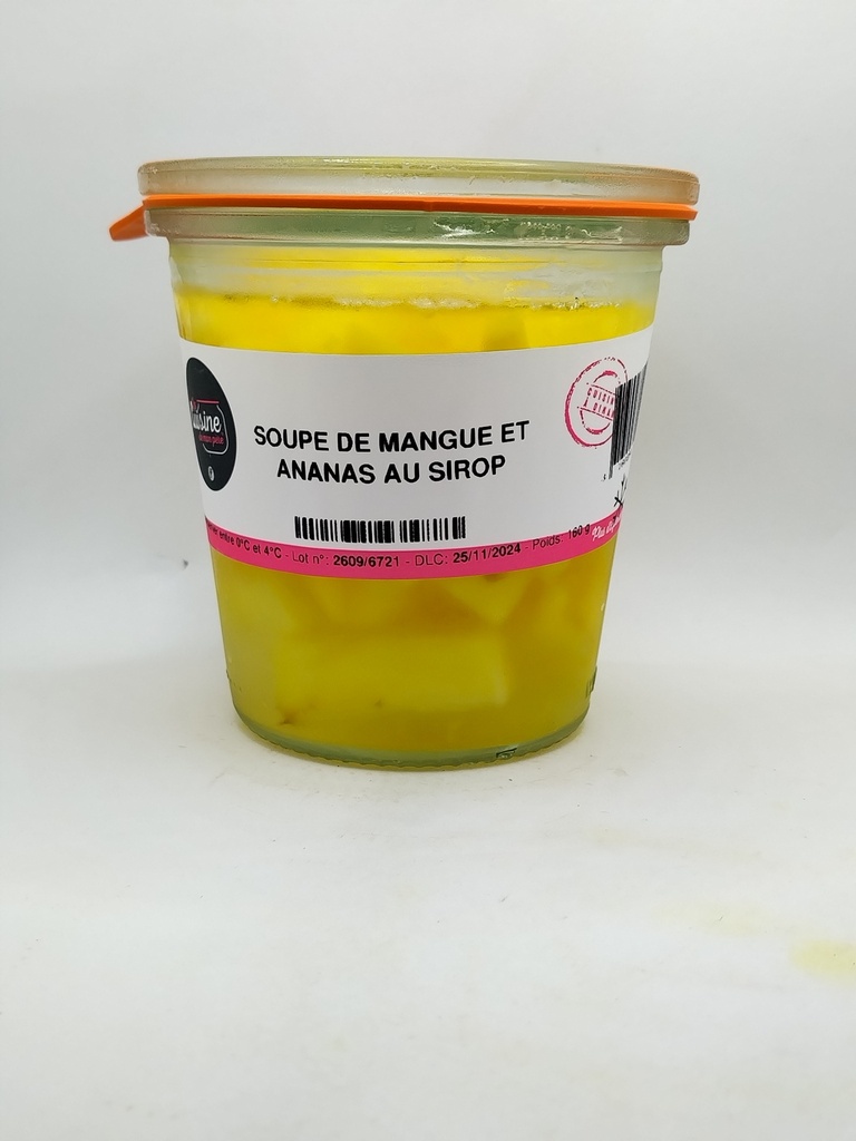SOUPE DE MANGUE ET ANANAS AU SIROP (p3)